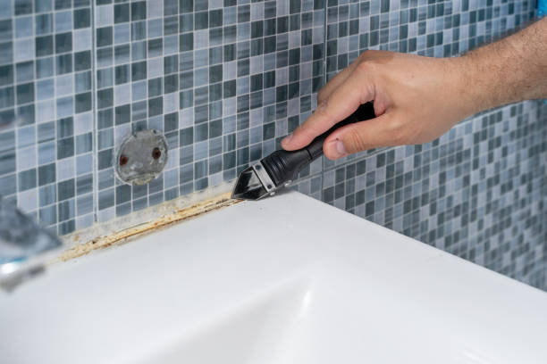 Best Insurance-Related Mold Remediation in Ord, NE
